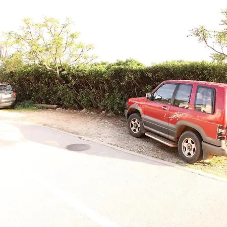 Ante Petric Lejlighed